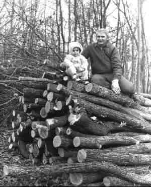 Sitting on a log pile